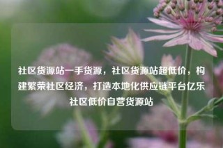 社区货源站一手货源，社区货源站超低价，构建繁荣社区经济，打造本地化供应链平台亿乐社区低价自营货源站