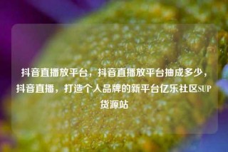 抖音直播放平台，抖音直播放平台抽成多少，抖音直播，打造个人品牌的新平台亿乐社区SUP货源站